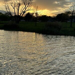 Meet your Posher, Chasity